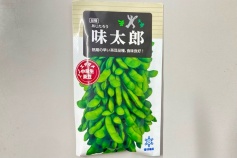 エダマメ 味太郎