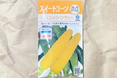 ミエルコーン サニー