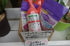 そのまま使える洋ラン用肥料