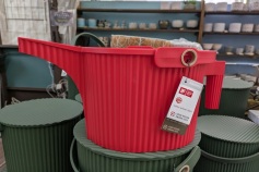 ガーデンビートル