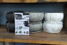 セン ローリーポット 丸 浅型