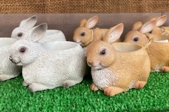 アベルアニマル ラビット