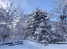 ドカンと降りました☃