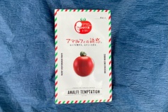 アマルフィの誘惑（種子）