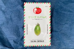 サリーナエメラルド（種子）
