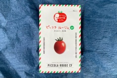ピッコラルージュCF（種子）