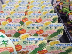 葉ねぎの苗、入荷しました！