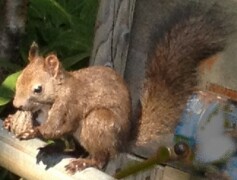 スタッフ（Ｎ）より