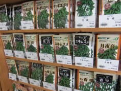 野菜種子＜エダマメ＞