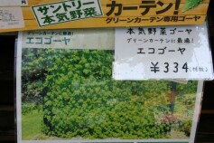 グリーンカーテン